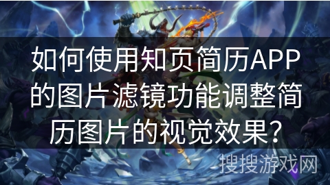 如何使用知页简历APP的图片滤镜功能调整简历图片的视觉效果？