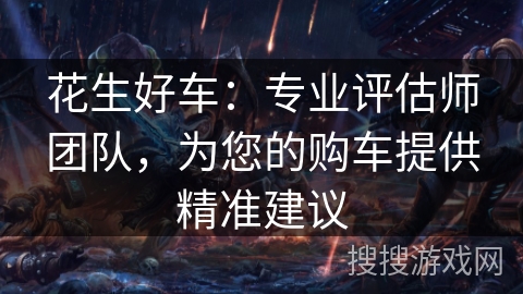 花生好车：专业评估师团队，为您的购车提供精准建议