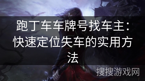 跑丁车车牌号找车主：快速定位失车的实用方法