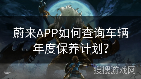 蔚来APP如何查询车辆年度保养计划？