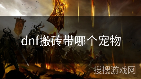 dnf搬砖带哪个宠物