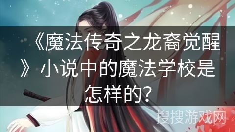 《魔法传奇之龙裔觉醒》小说中的魔法学校是怎样的？