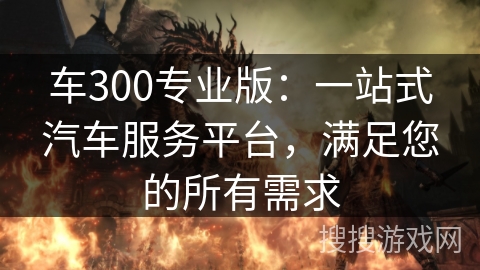 车300专业版：一站式汽车服务平台，满足您的所有需求