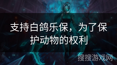 支持白鸽乐保，为了保护动物的权利