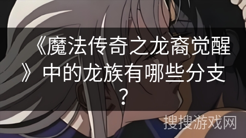 《魔法传奇之龙裔觉醒》中的龙族有哪些分支？
