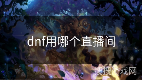 dnf用哪个直播间