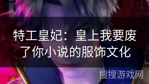 特工皇妃：皇上我要废了你小说的服饰文化