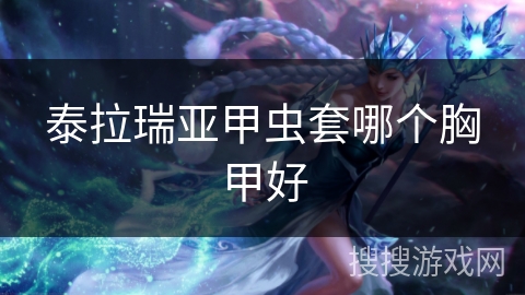 泰拉瑞亚甲虫套哪个胸甲好