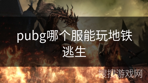 pubg哪个服能玩地铁逃生