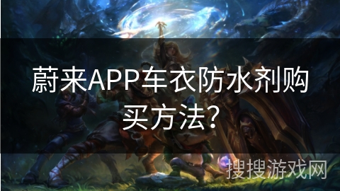 蔚来APP车衣防水剂购买方法？