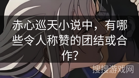 赤心巡天小说中，有哪些令人称赞的团结或合作？