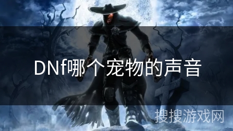DNf哪个宠物的声音