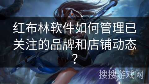 红布林软件如何管理已关注的品牌和店铺动态？