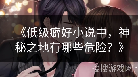 《低级癖好小说中，神秘之地有哪些危险？》