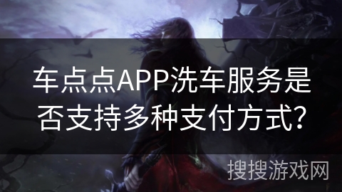 车点点APP洗车服务是否支持多种支付方式？