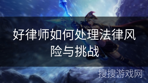 好律师如何处理法律风险与挑战