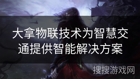大拿物联技术为智慧交通提供智能解决方案