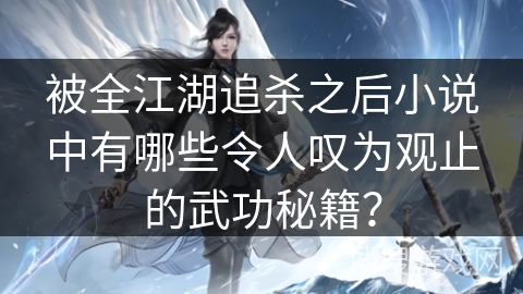 被全江湖追杀之后小说中有哪些令人叹为观止的武功秘籍？