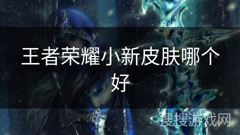 王者荣耀小新皮肤哪个好