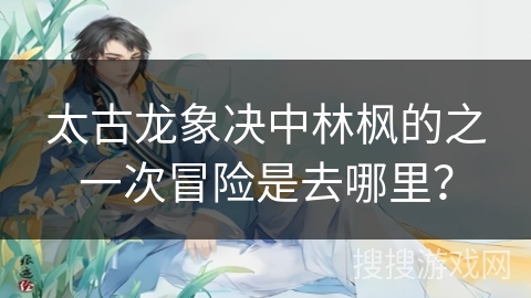 太古龙象决中林枫的之一次冒险是去哪里？