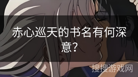 赤心巡天的书名有何深意？