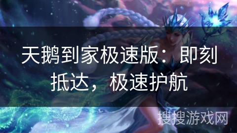 天鹅到家极速版：即刻抵达，极速护航