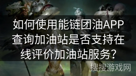 如何使用能链团油APP查询加油站是否支持在线评价加油站服务？