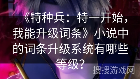 《特种兵：特一开始，我能升级词条》小说中的词条升级系统有哪些等级？