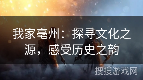 我家亳州：探寻文化之源，感受历史之韵