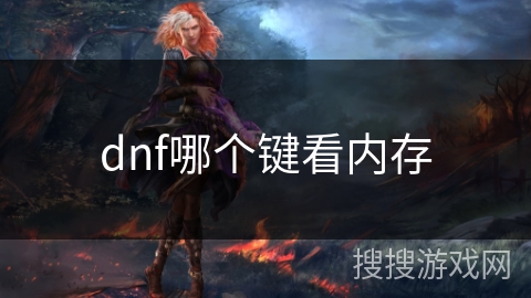 dnf哪个键看内存