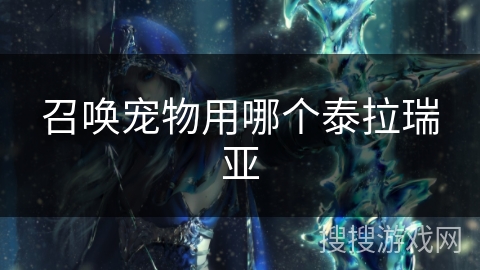 召唤宠物用哪个泰拉瑞亚