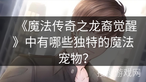 《魔法传奇之龙裔觉醒》中有哪些独特的魔法宠物？