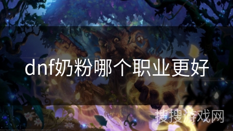 dnf奶粉哪个职业更好