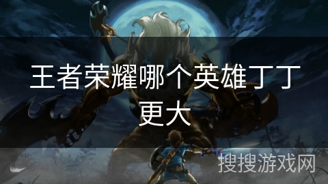 王者荣耀哪个英雄丁丁更大