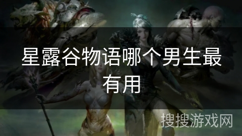 星露谷物语哪个男生最有用