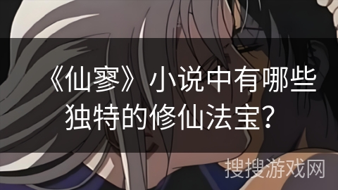 《仙寥》小说中有哪些独特的修仙法宝？
