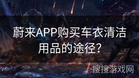 蔚来APP购买车衣清洁用品的途径？