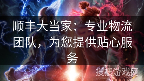 顺丰大当家：专业物流团队，为您提供贴心服务