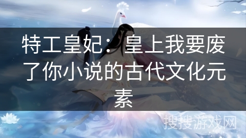 特工皇妃：皇上我要废了你小说的古代文化元素