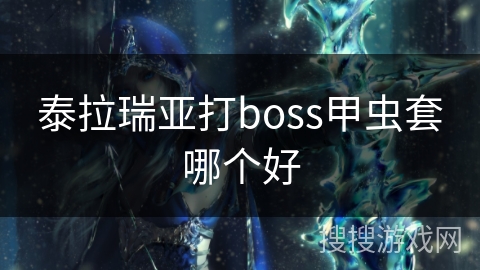 泰拉瑞亚打boss甲虫套哪个好