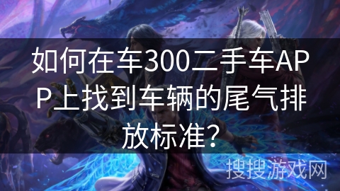 如何在车300二手车APP上找到车辆的尾气排放标准？