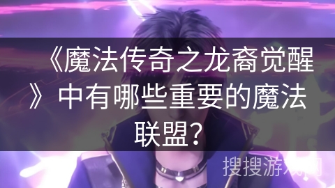 《魔法传奇之龙裔觉醒》中有哪些重要的魔法联盟？