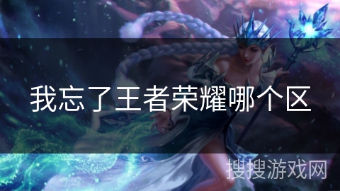 我忘了王者荣耀哪个区