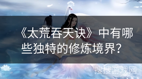 《太荒吞天诀》中有哪些独特的修炼境界？