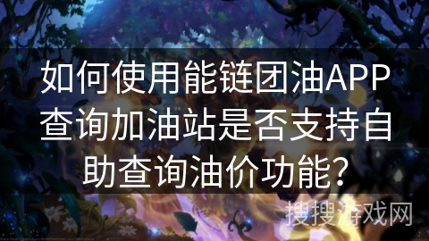 如何使用能链团油APP查询加油站是否支持自助查询油价功能？