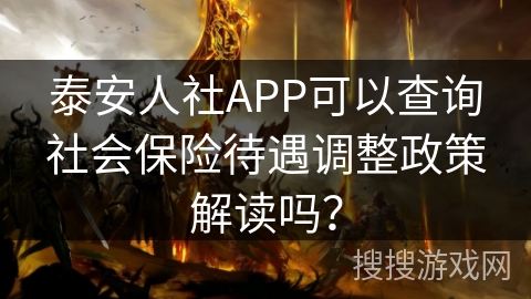 泰安人社APP可以查询社会保险待遇调整政策解读吗？