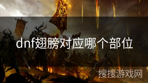 dnf翅膀对应哪个部位