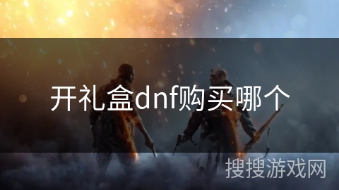 开礼盒dnf购买哪个