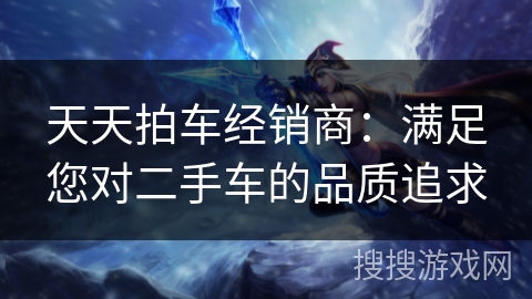 天天拍车经销商：满足您对二手车的品质追求
