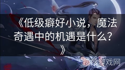 《低级癖好小说，魔法奇遇中的机遇是什么？》
